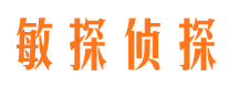 华宁侦探公司